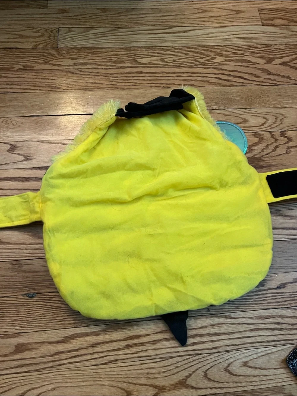 Medium Doggie 🐶 Bumblebee Costume 🐝